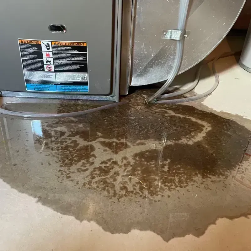 Appliance Leak Cleanup in Reed City, MI